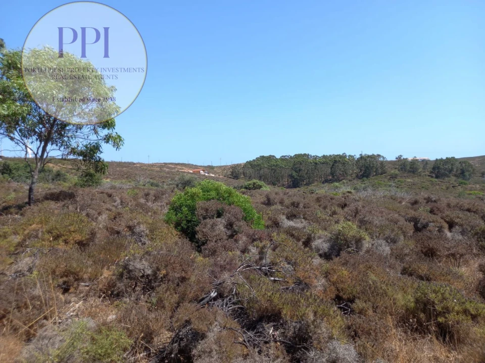 Terreno para Venda em Vila do Bispo e Raposeira Foto 10
