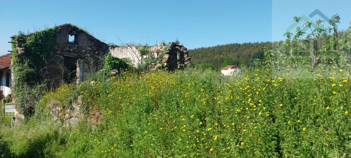 Moradia T1 para Venda em Pombeiro da Beira Foto 4