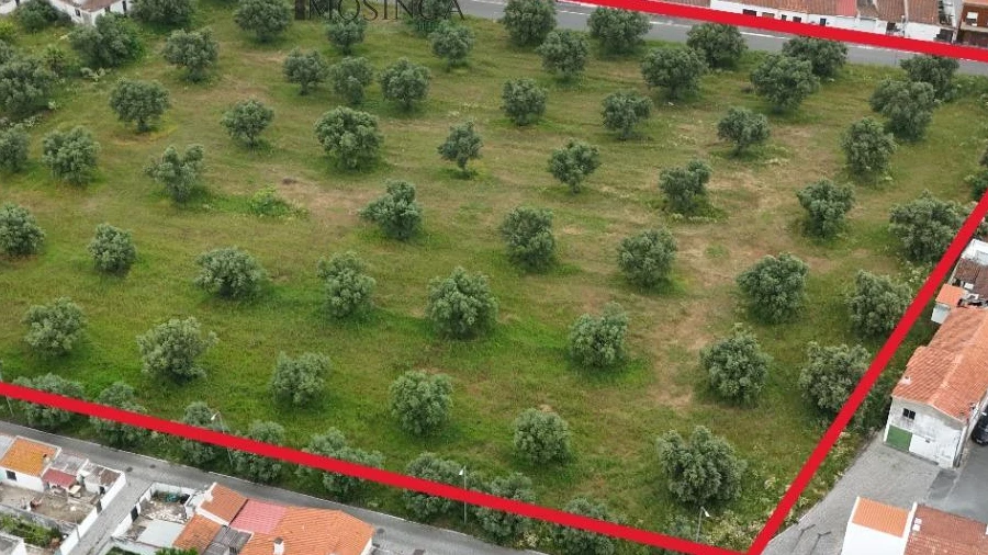Terreno para Venda em Ferreira do Alentejo e Canhestros