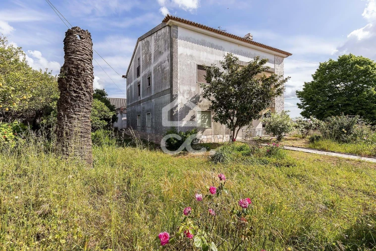 Moradia T4 para Venda em Estremoz (Santa Maria e Santo André) Foto 21