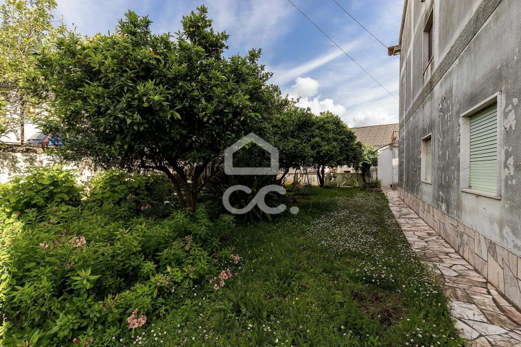 Moradia T4 para Venda em Estremoz (Santa Maria e Santo André) Foto 19