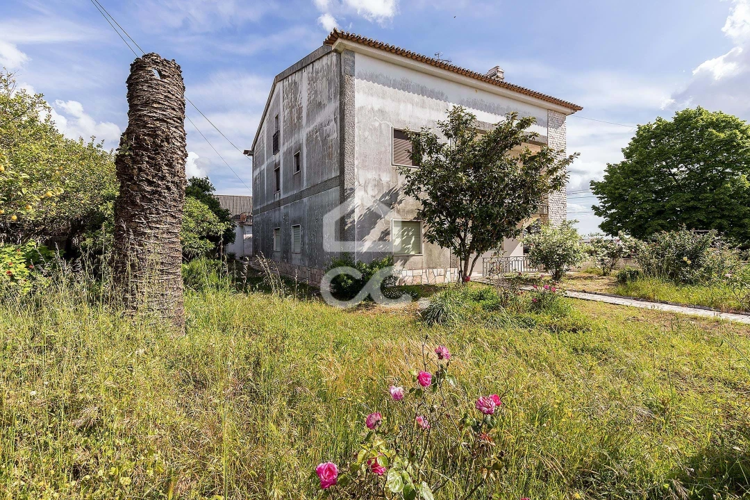 Terreno para Venda em Estremoz (Santa Maria e Santo André) Foto 21