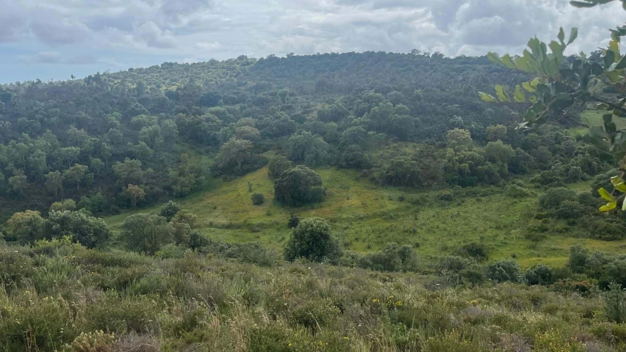 Terreno para Venda em Portimão Foto 7