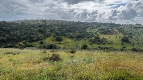 Terreno para Venda em Portimão