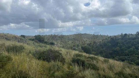Terreno para Venda em Portimão