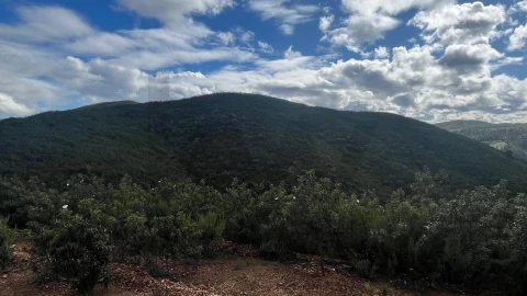 Terreno para Venda em Portimão