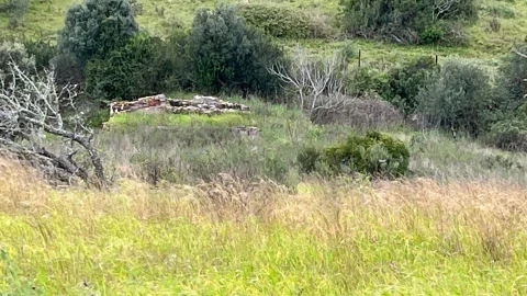 Terreno para Venda em Portimão