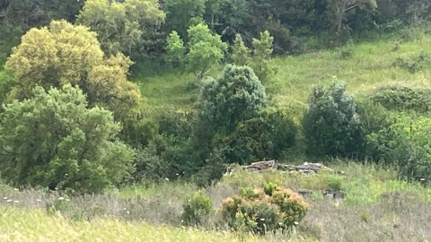 Terreno para Venda em Portimão