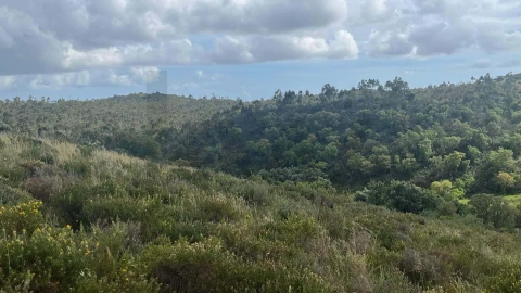 Terreno para Venda em Portimão