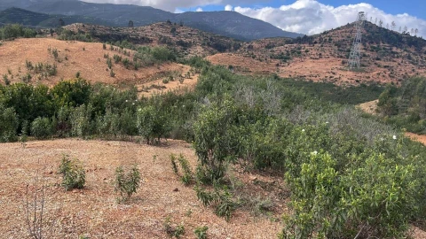 Terreno para Venda em Portimão