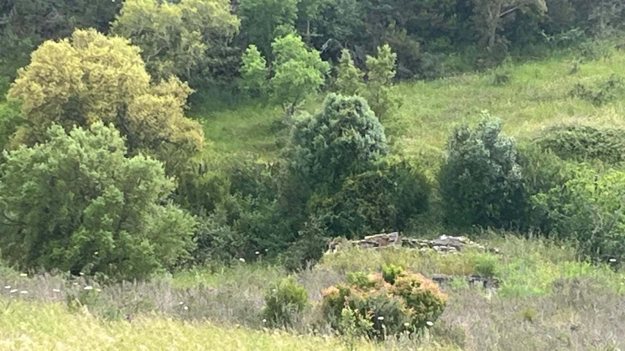Terreno para Venda em Portimão Foto 2