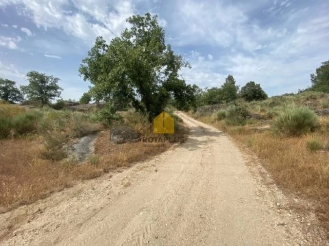 Quinta T3 para Venda em Belmonte e Colmeal da Torre Foto 18