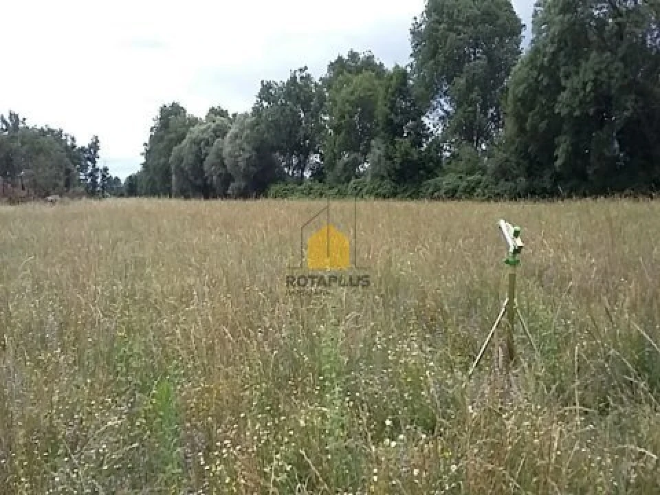 Quinta T3 para Venda em Belmonte e Colmeal da Torre Foto 20