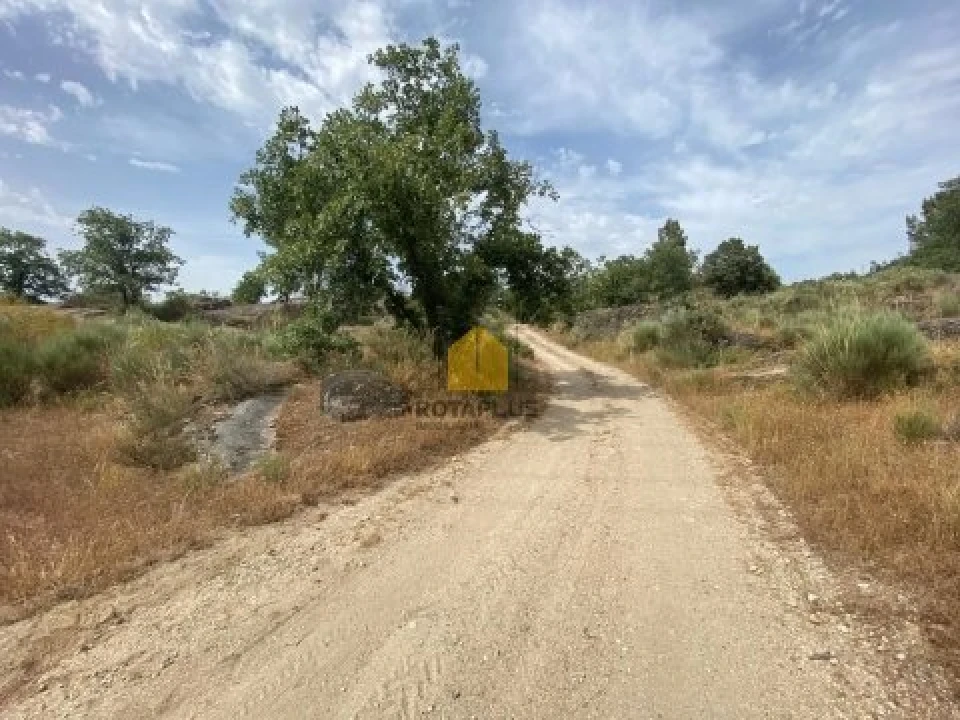 Quinta T3 para Venda em Belmonte e Colmeal da Torre Foto 18