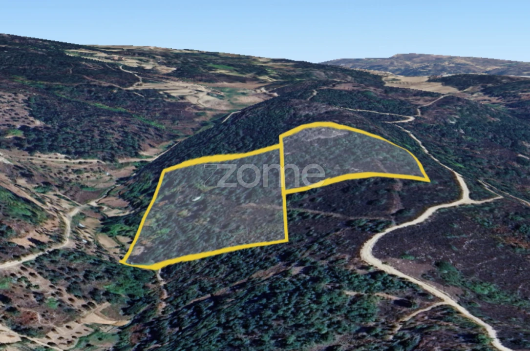 Quinta T1 para Venda em Cortiçô e Vila Chã Foto 3