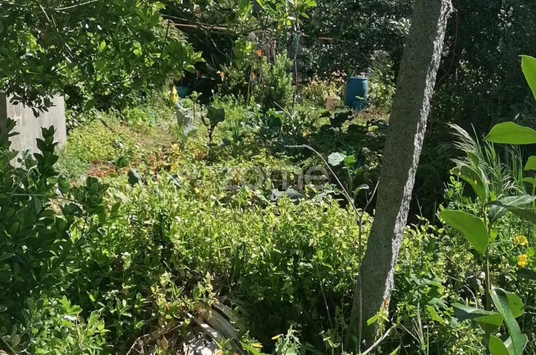 Moradia T2 para Venda em Lordelo Foto 35