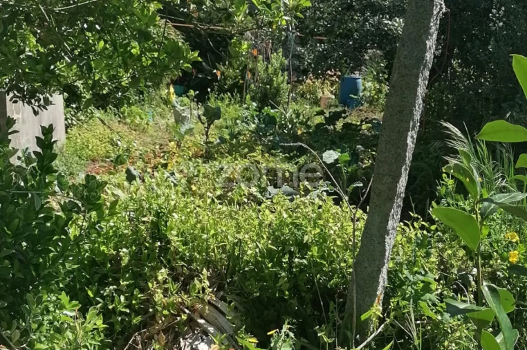 Moradia T2 para Venda em Lordelo Foto 35