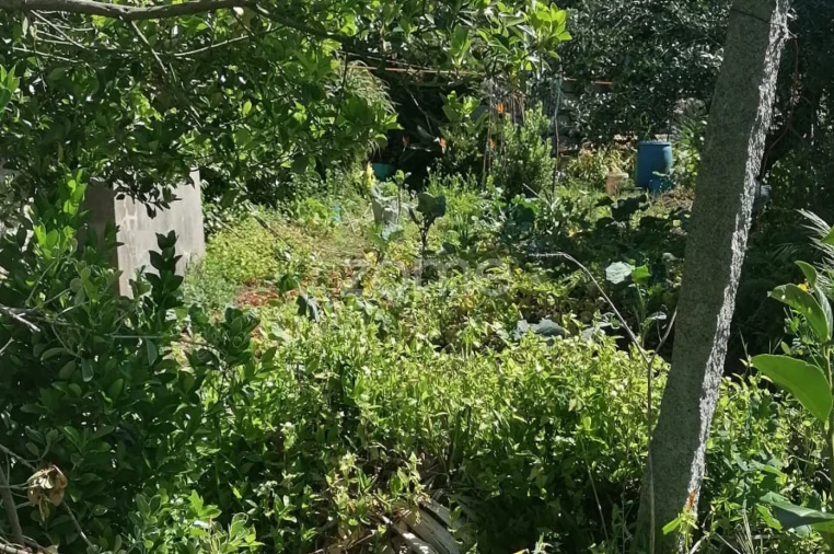 Moradia T2 para Venda em Lordelo Foto 33