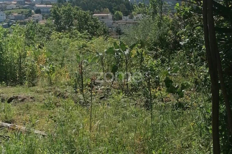 Moradia T2 para Venda em Lordelo Foto 34