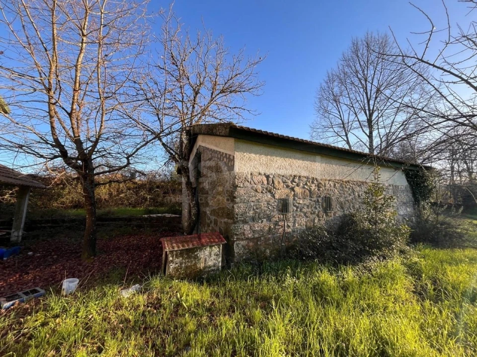 Quinta T3 para Venda em Mangualde, Mesquitela e Cunha Alta Foto 6