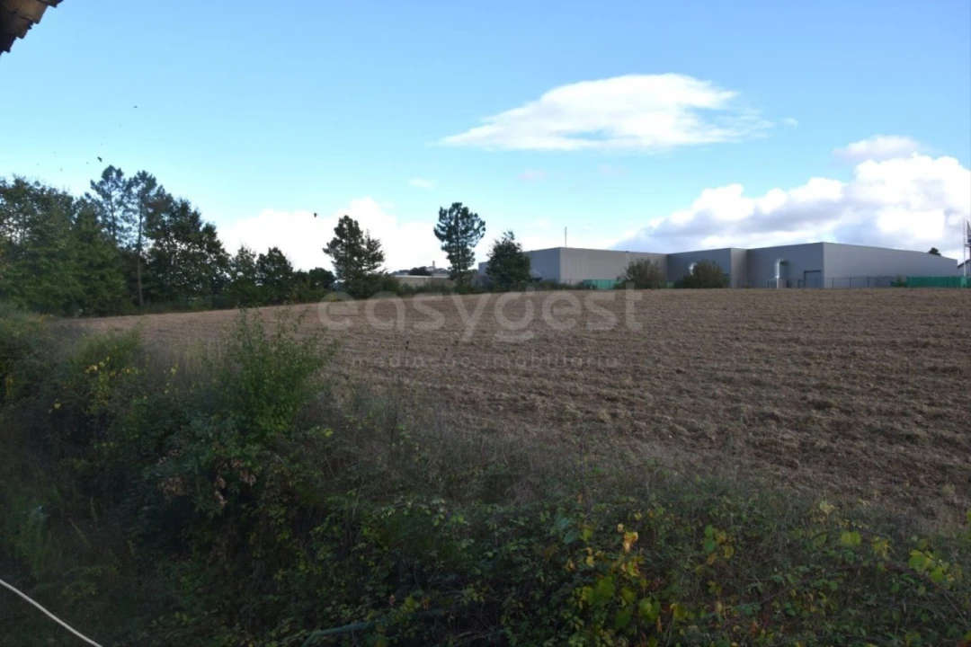 Quinta T3 para Venda em Mangualde, Mesquitela e Cunha Alta Foto 7