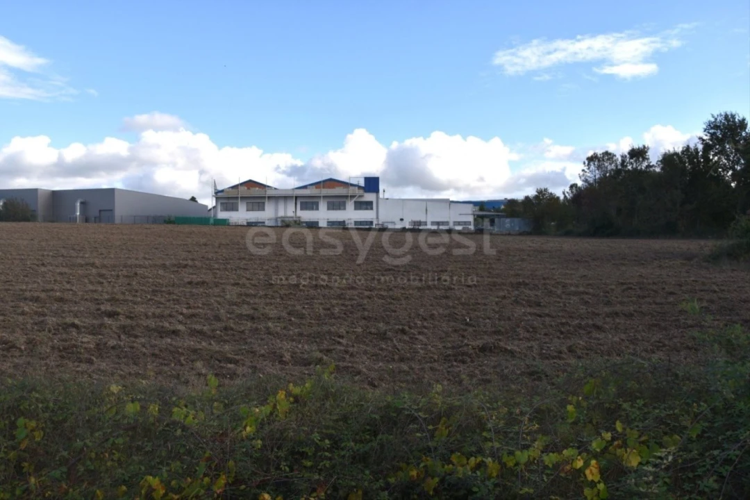 Quinta T3 para Venda em Mangualde, Mesquitela e Cunha Alta Foto 8