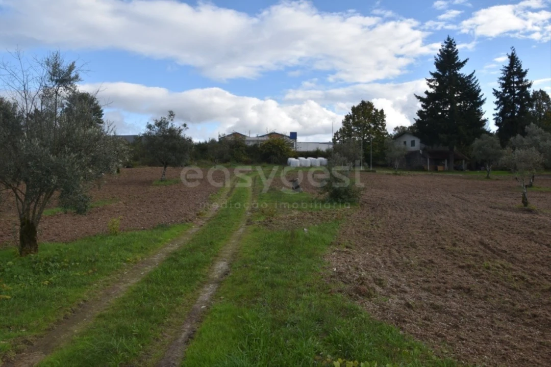 Quinta T3 para Venda em Mangualde, Mesquitela e Cunha Alta Foto 11