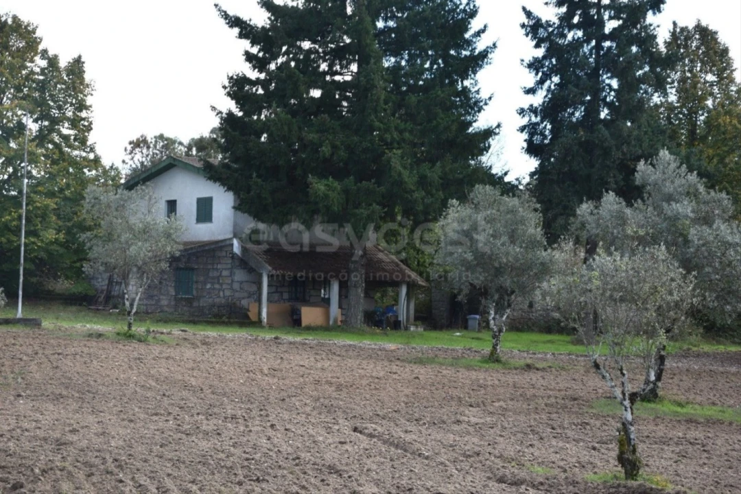 Quinta T3 para Venda em Mangualde, Mesquitela e Cunha Alta Foto 12