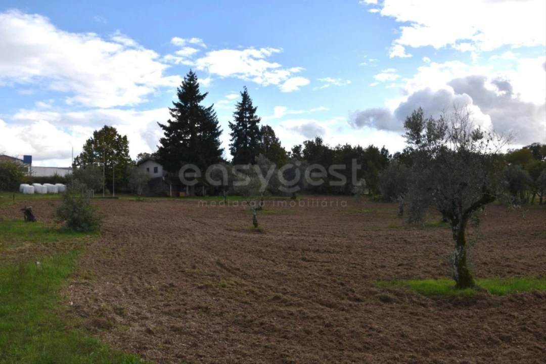 Quinta T3 para Venda em Mangualde, Mesquitela e Cunha Alta Foto 14