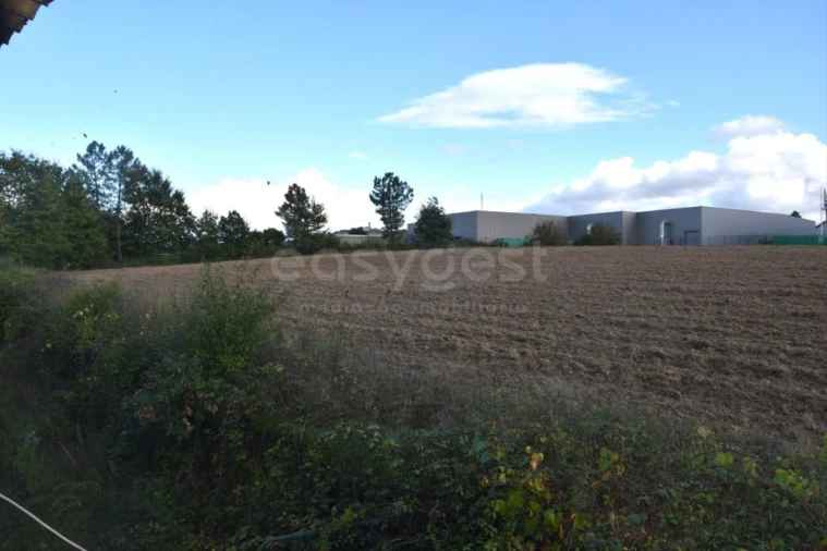 Quinta T3 para Venda em Mangualde, Mesquitela e Cunha Alta Foto 7