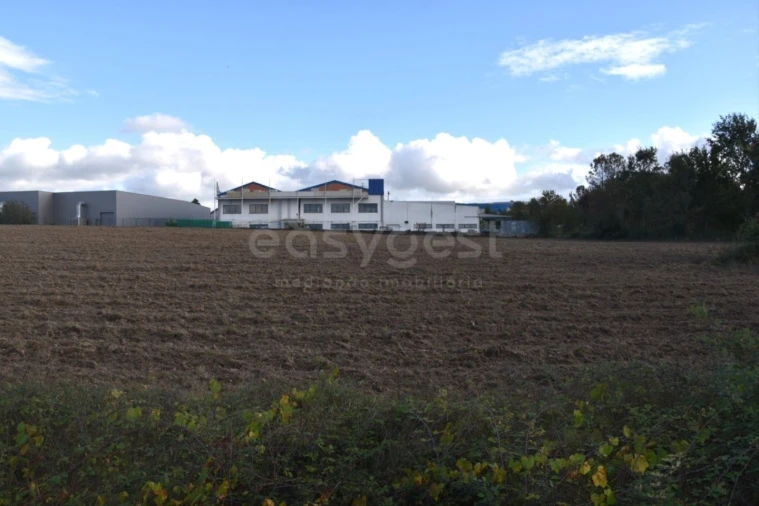 Quinta T3 para Venda em Mangualde, Mesquitela e Cunha Alta Foto 8