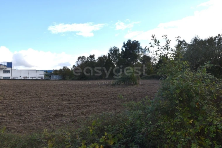 Quinta T3 para Venda em Mangualde, Mesquitela e Cunha Alta Foto 9