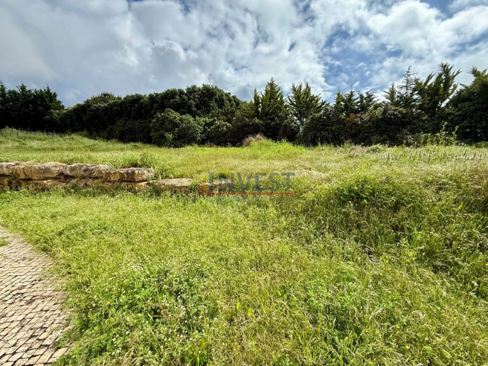 Moradia T4 para Venda em Queluz e Belas Foto 5