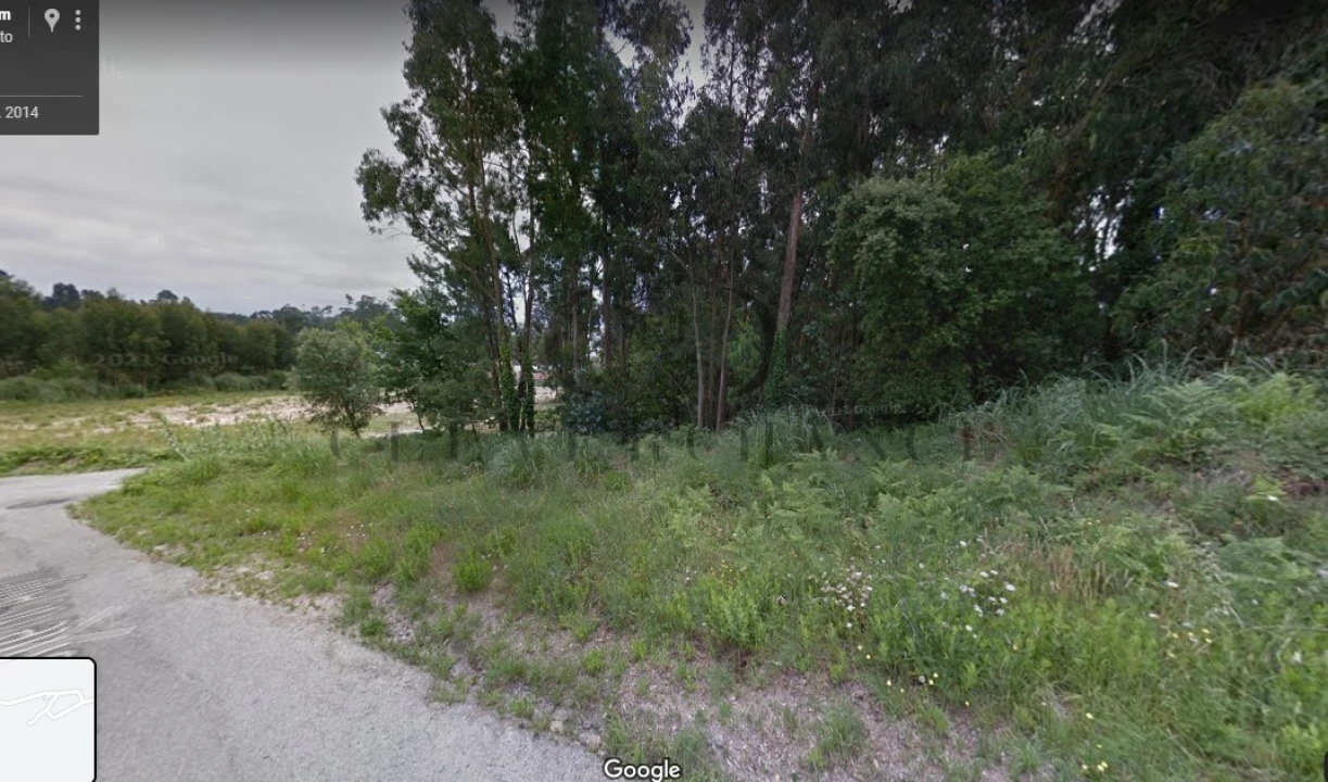 Terreno para Venda em Madalena Foto 8