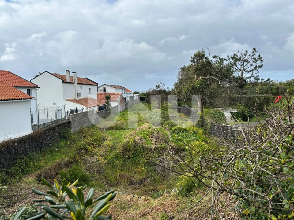 Moradia T3 para Venda em Rosto do Cão (Livramento) Foto 36