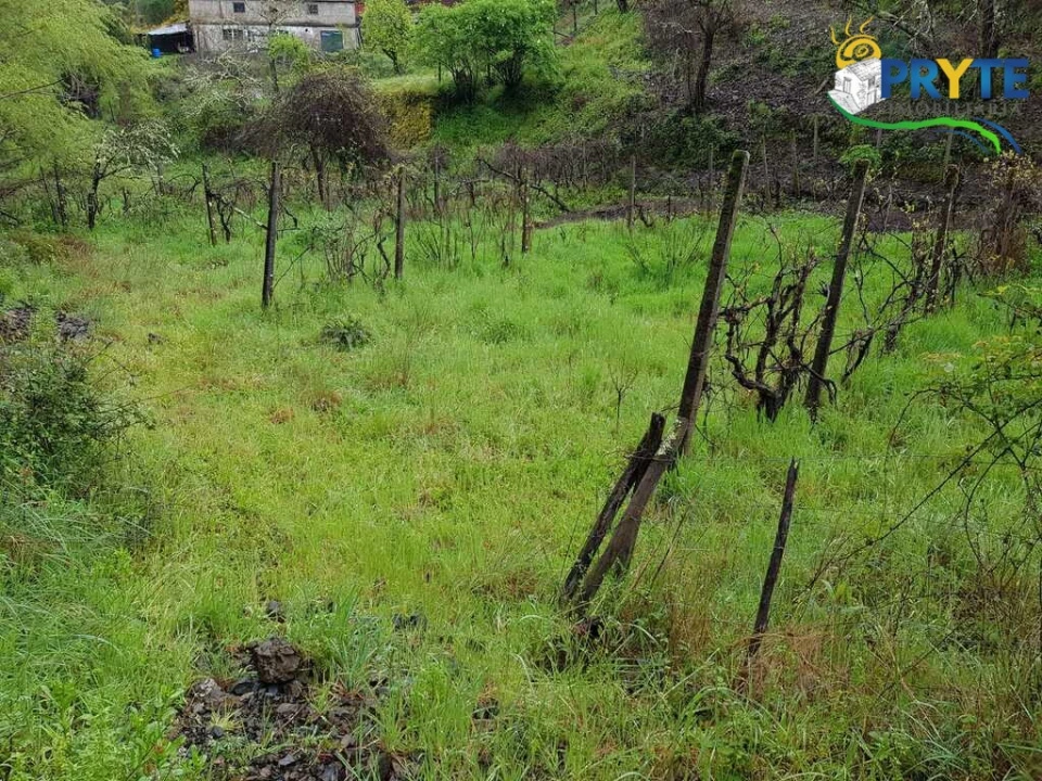 Moradia para Venda em Gois Foto 12