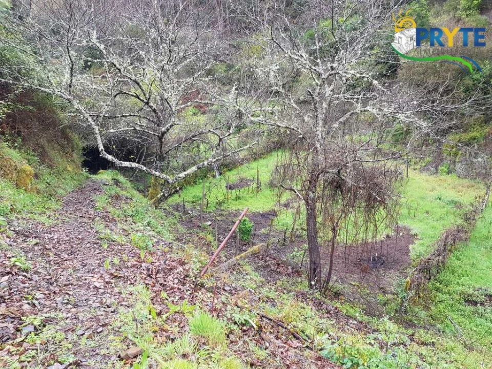 Moradia para Venda em Gois Foto 13