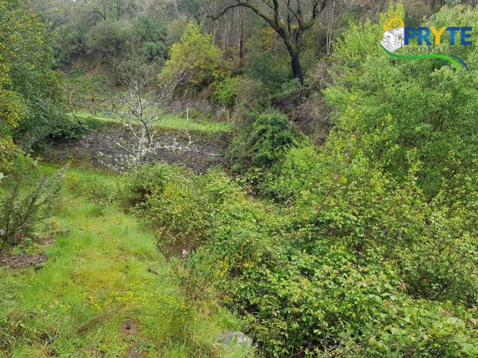 Moradia para Venda em Gois Foto 15