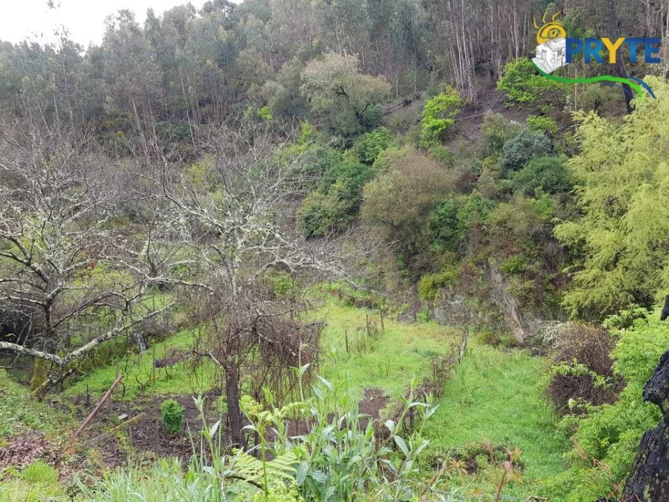 Moradia para Venda em Gois Foto 16