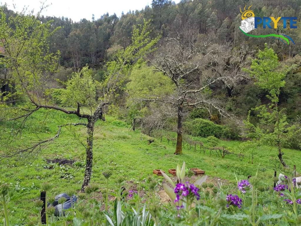 Moradia para Venda em Gois Foto 41