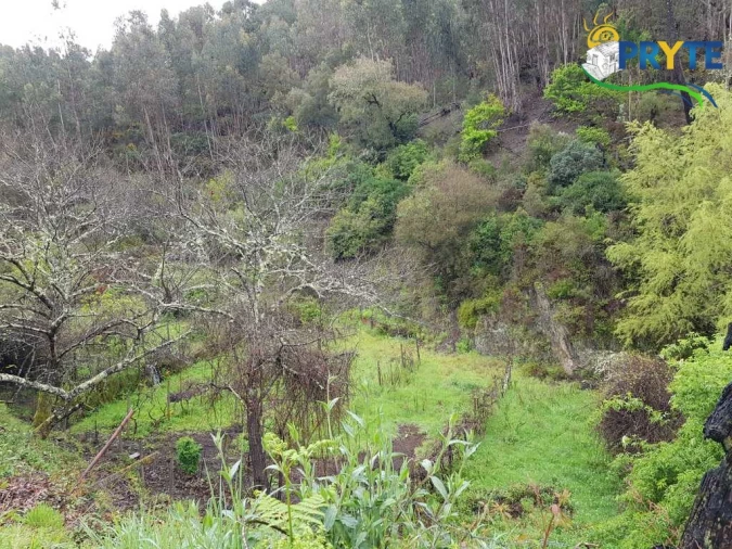 Moradia para Venda em Gois Foto 16