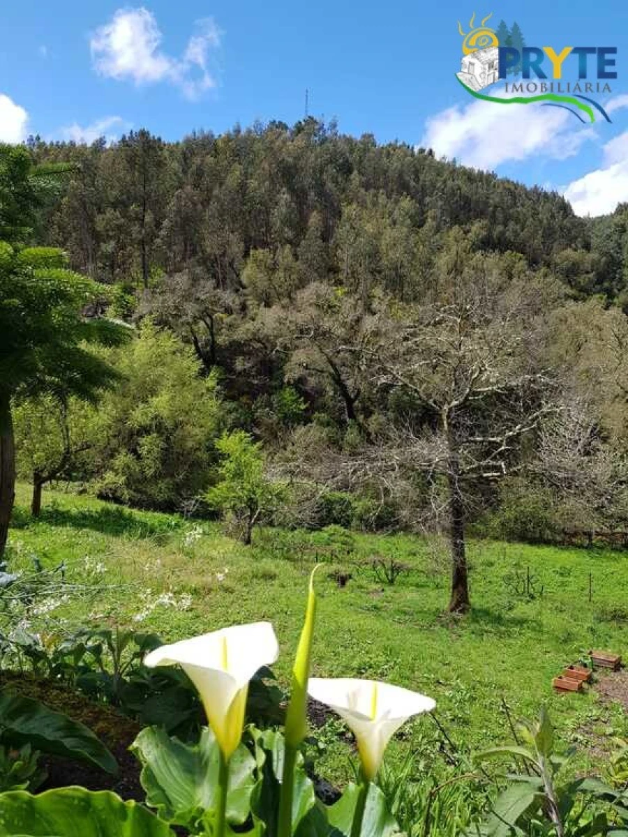 Moradia para Venda em Gois Foto 43