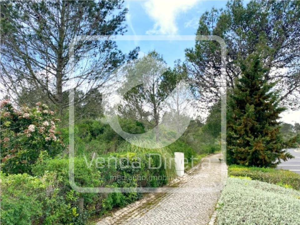 Terreno para Venda em Queluz e Belas Foto 6