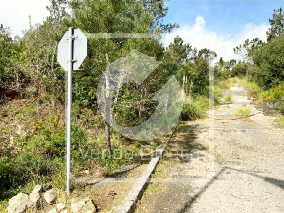 Terreno para Venda em Queluz e Belas Foto 8