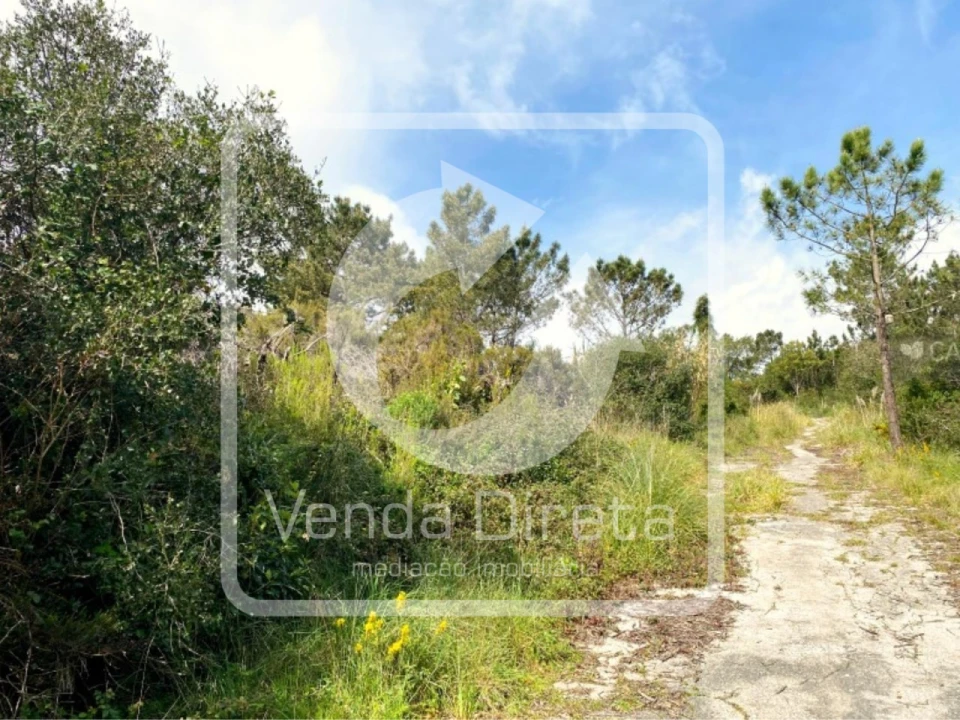 Terreno para Venda em Queluz e Belas Foto 9