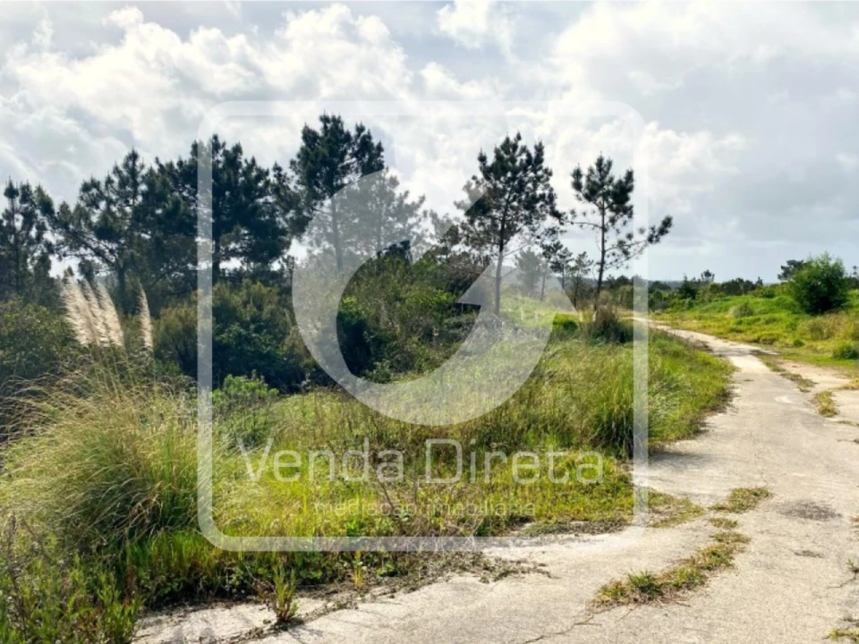 Terreno para Venda em Queluz e Belas Foto 11