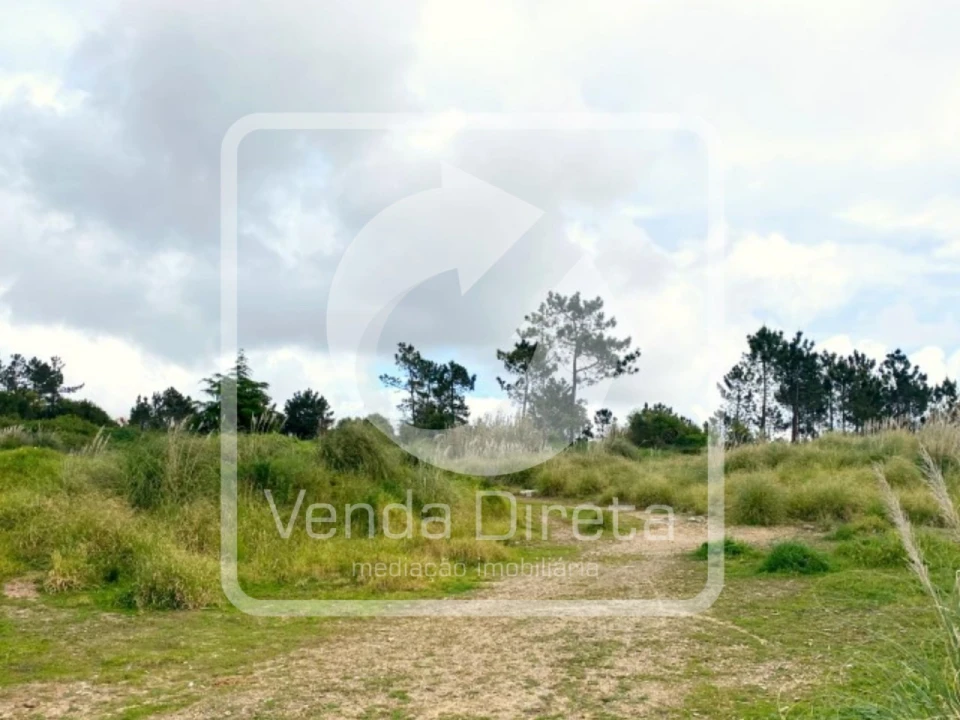 Terreno para Venda em Queluz e Belas Foto 14