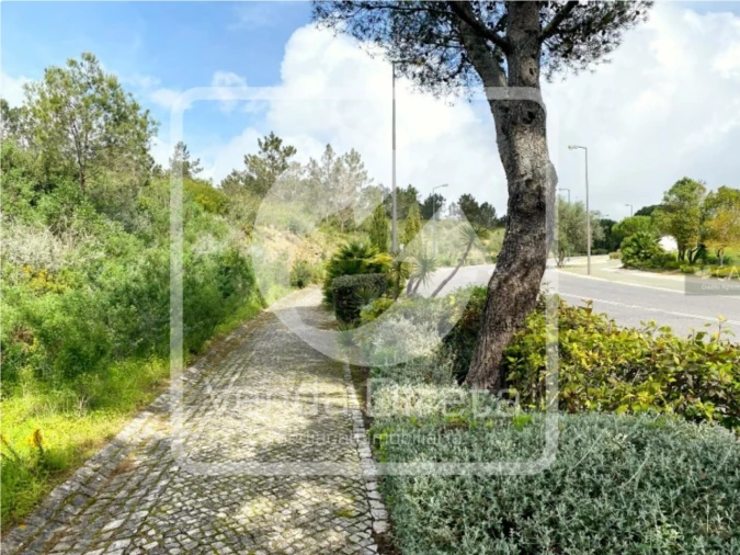 Terreno para Venda em Queluz e Belas Foto 5