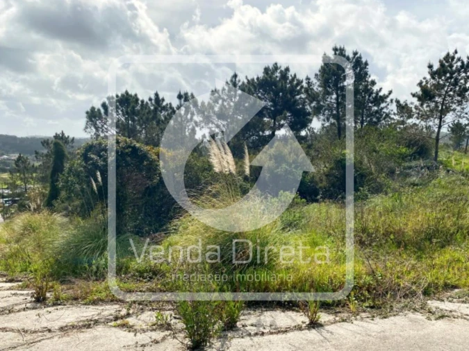 Terreno para Venda em Queluz e Belas Foto 10