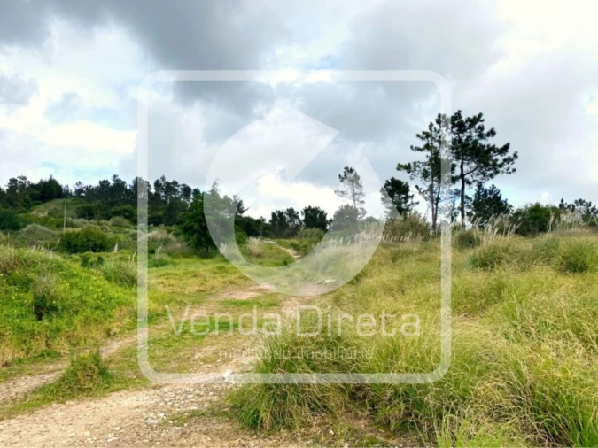 Terreno para Venda em Queluz e Belas Foto 17
